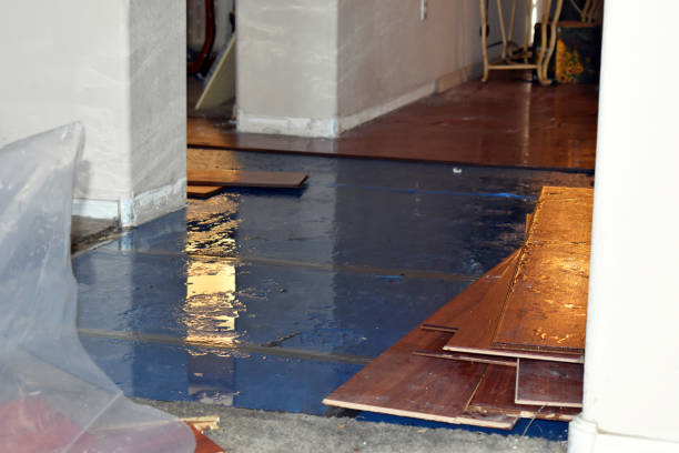 Professional Flood Cleanup technician working in Belleville, WI